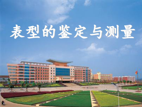 表型鉴定与测量