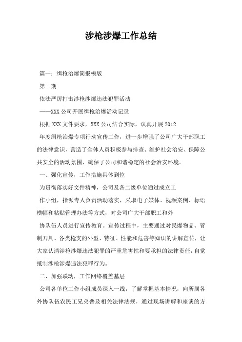 涉枪涉爆工作总结