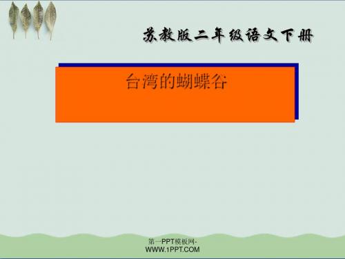 《台湾的蝴蝶谷》PPT课件