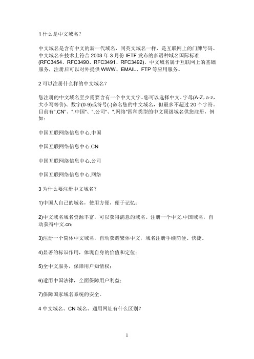 什么叫中文域名