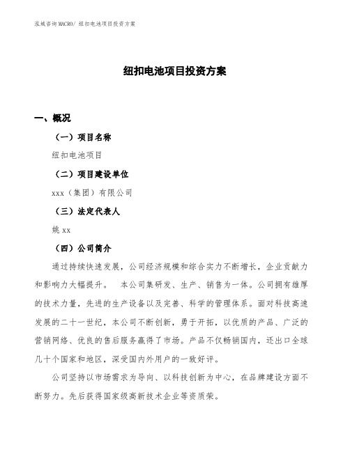 纽扣电池项目投资方案