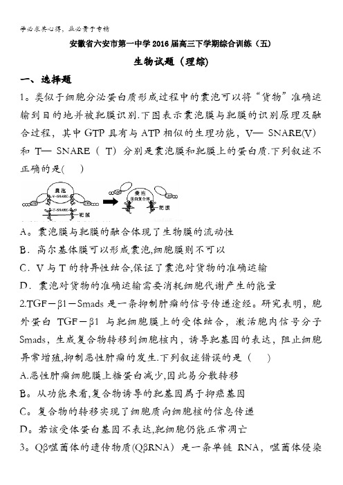 安徽省六安市第一中学2016届高三下学期综合训练(五)生物试题 含答案