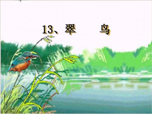 人教版小学三年级语文翠鸟