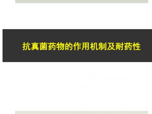 抗真菌药物的作用机制及耐药性