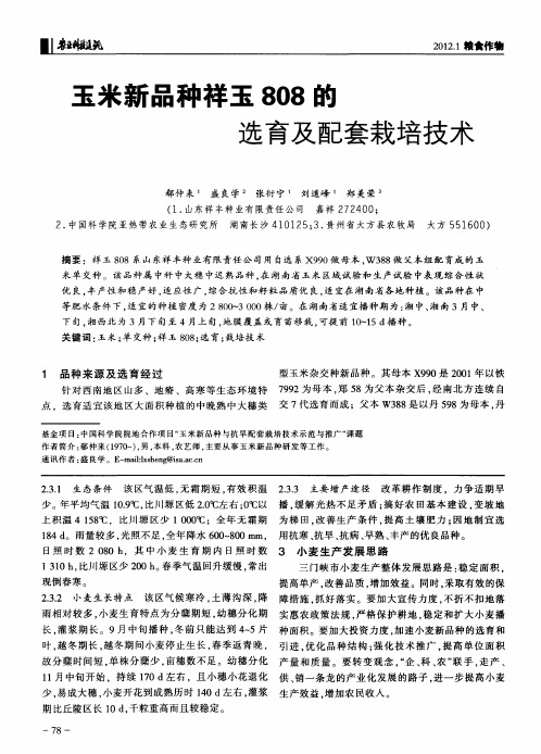 玉米新品种祥玉808的选育及配套栽培技术