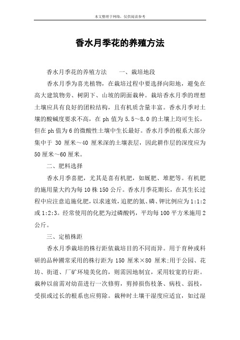 香水月季花的养殖方法