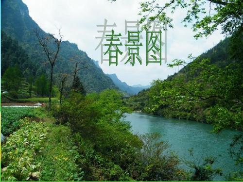 苏教版五年级语文下册1《春光染绿我们双脚》