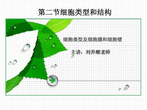 高中生物必修一第三章第二节细胞的类型和结构——细胞膜