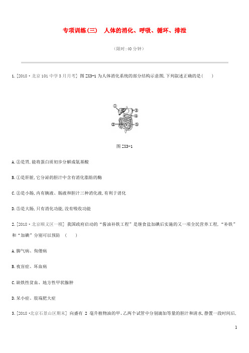 北京市中考生物复习专项训练人体的消化、呼吸、循环、排泄