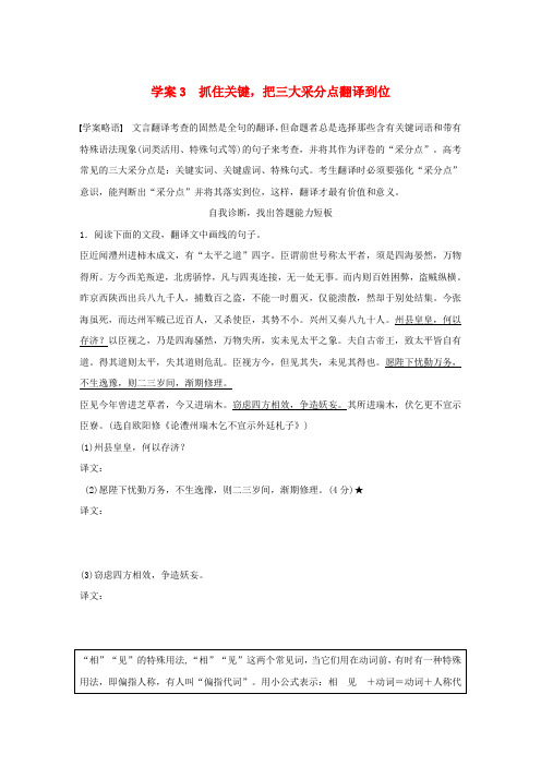 高考语文大二轮总复习问题诊断,借题突破第二章3抓住关键,把三大采分点翻译到位学案