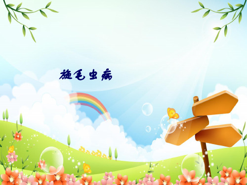 旋毛虫