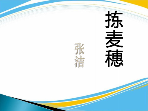 《拣麦穗》PPT课件【优秀课件】