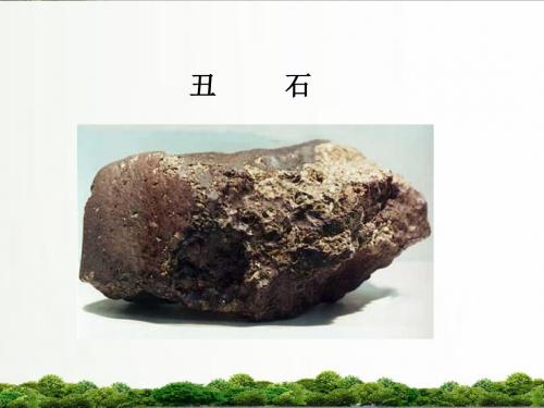 【精品】北师大版语文六年级上册课件：《丑石》课件第二课时