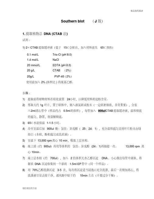 Southernblot(自总结2)