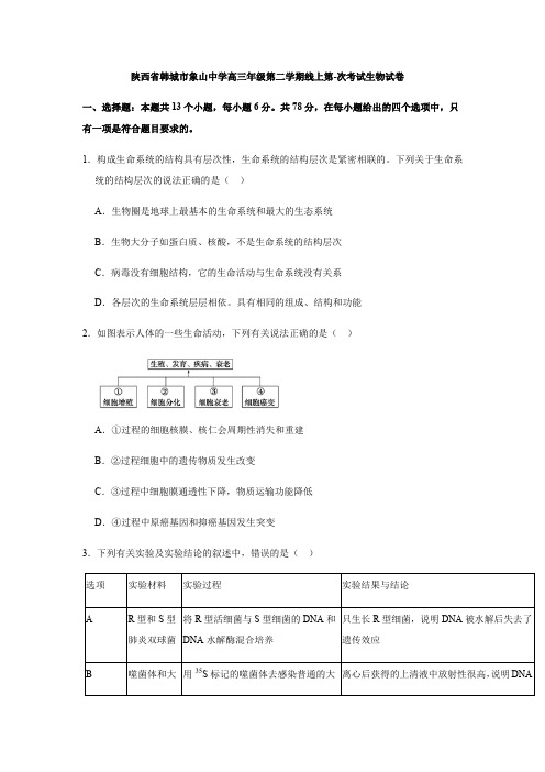 2019-2020陕西省韩城市象山中学高三年级第二学期线上第-次考试生物考试试卷(无答案)