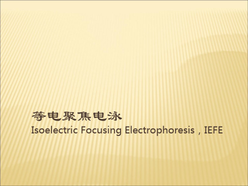 等电聚焦电泳Isoelectric Focusing Electrophoresis,IEFE