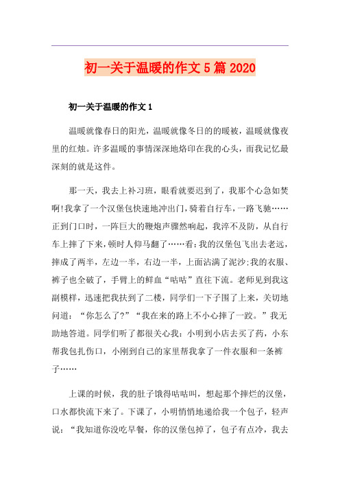 初一关于温暖的作文5篇