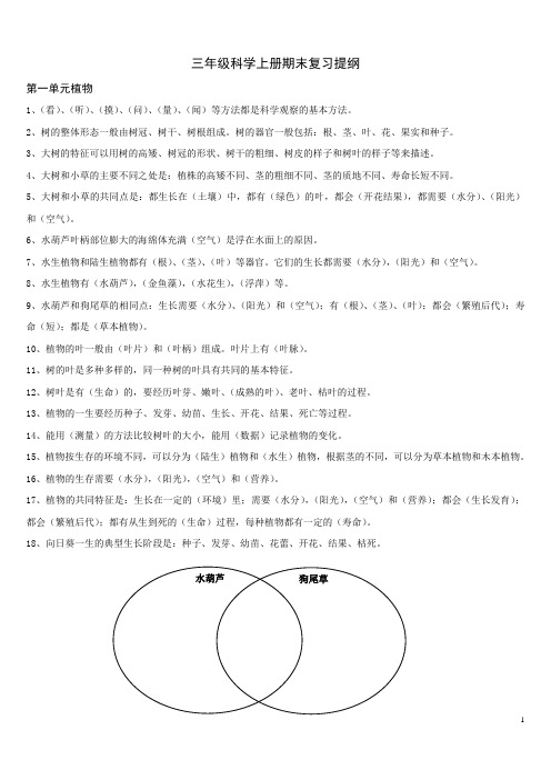 三年级科学上册期末提纲