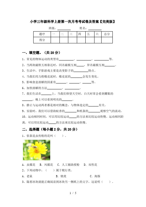 小学三年级科学上册第一次月考考试卷及答案【完美版】