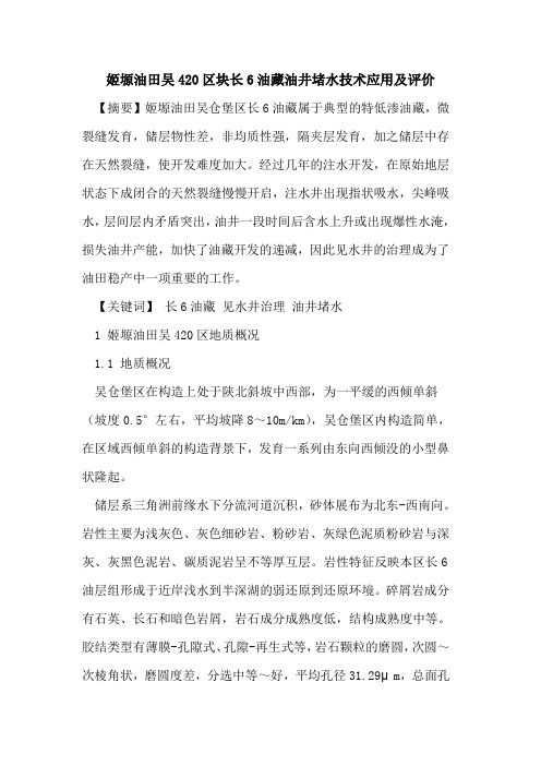 姬塬油田吴420区块长6油藏油井堵水技术应用及评价