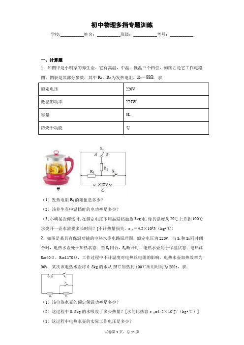 初中物理多挡专题训练