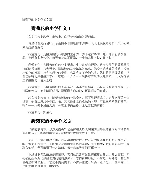 野菊花的作文