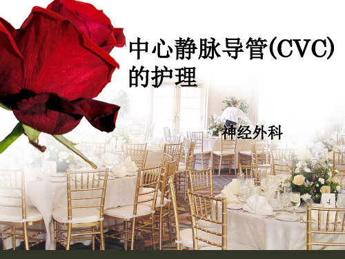 中心静脉导管(CVC)的护理 (2)