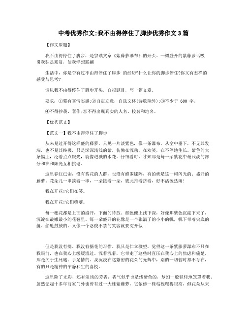 中考优秀作文我不由得停住了脚步优秀作文3篇