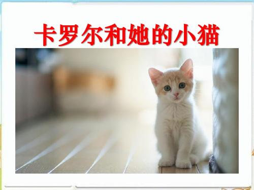 《卡罗尔和她的小猫》PPT课件7下载