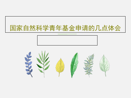 国家自然科学青年基金申请的几点体会16页PPT
