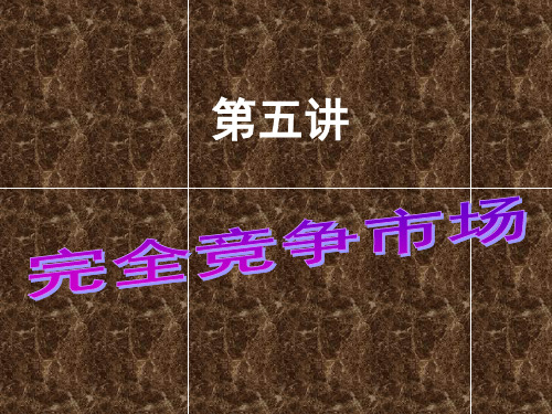 第5讲完全竞争市场PPT课件