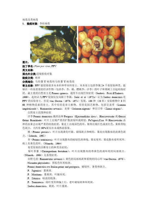 李痘病毒