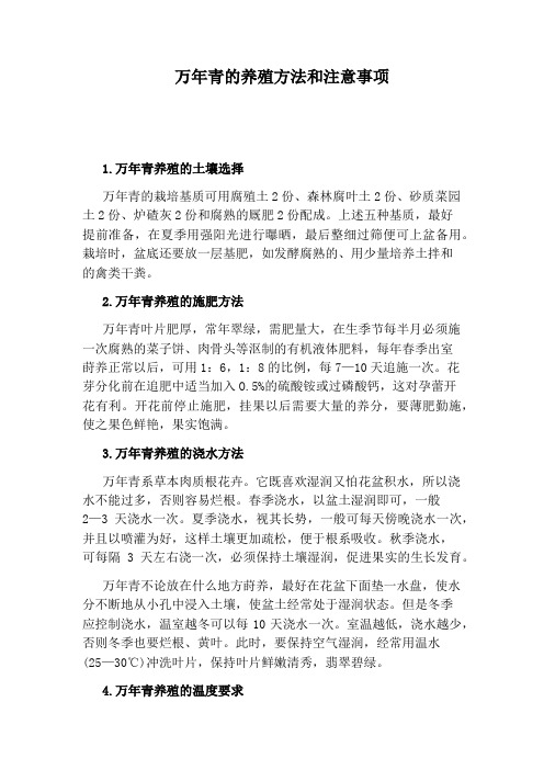 万年青的养殖方法和注意事项