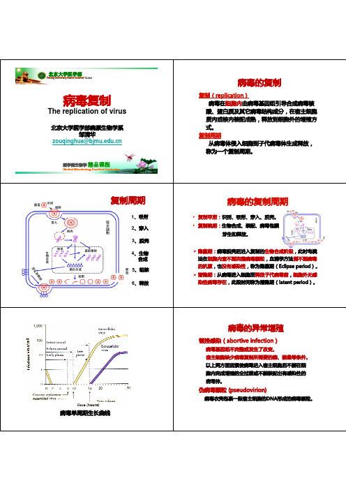 病毒复制