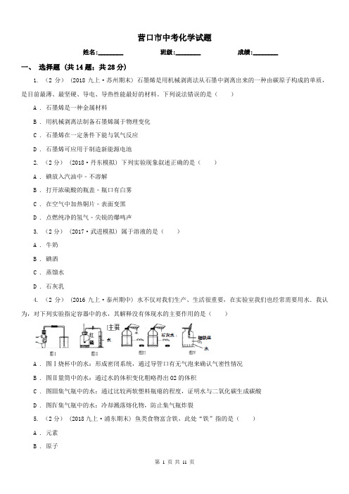 营口市中考化学试题 