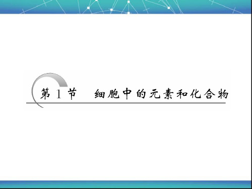 细胞中的元素和化合物 课件