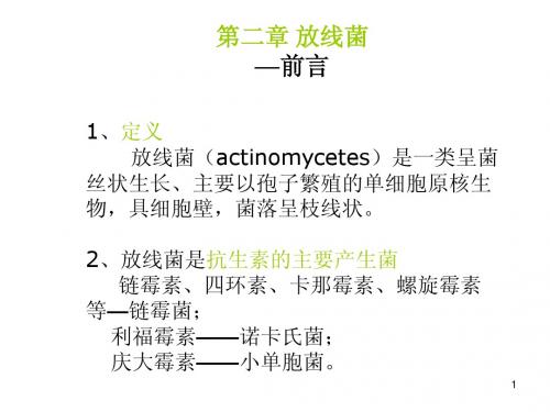 2-放线菌-1