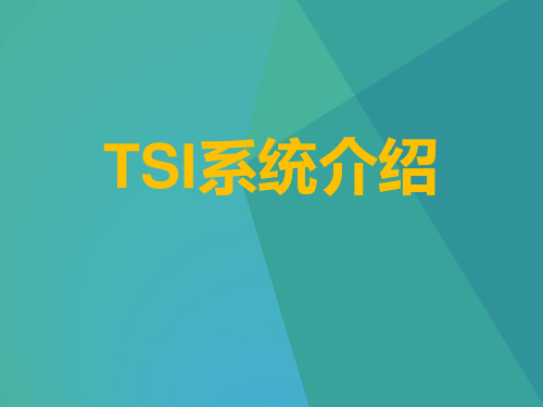 TSI概述