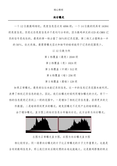 尼康D90使用总结及样片说明