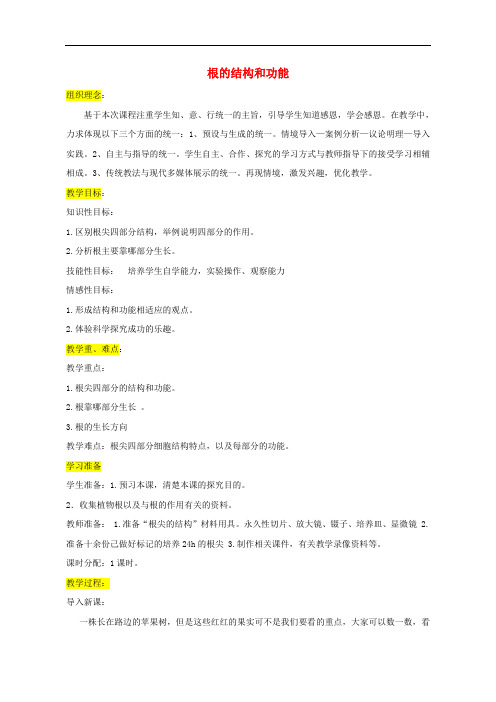 《根的结构与功能》word教案 (公开课获奖)2022年济南版