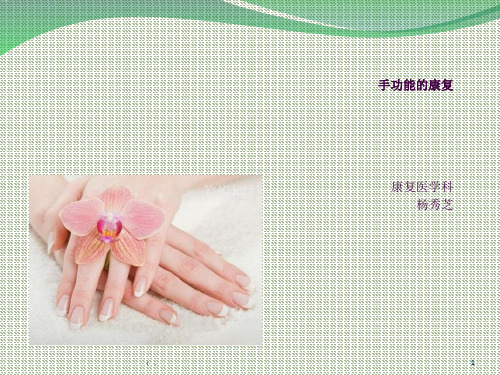 手功能的康复ppt课件