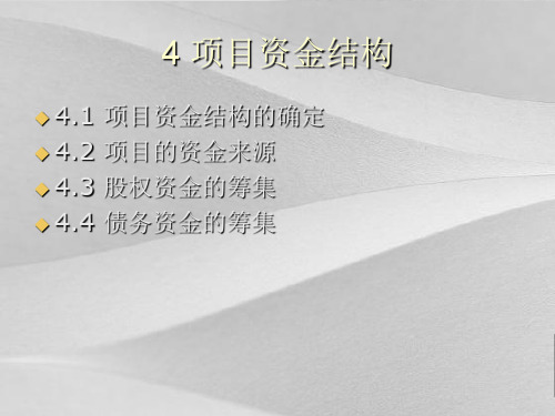 项目策划资金结构与资金来源