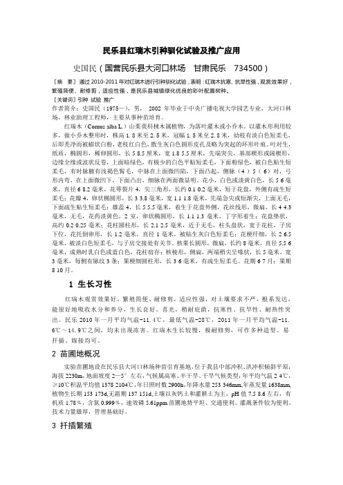 民乐县红瑞木引种驯化试验及推广应用