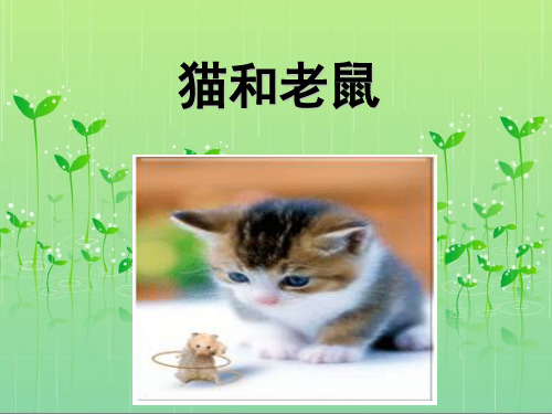 一年级语文下册《猫和老鼠》好