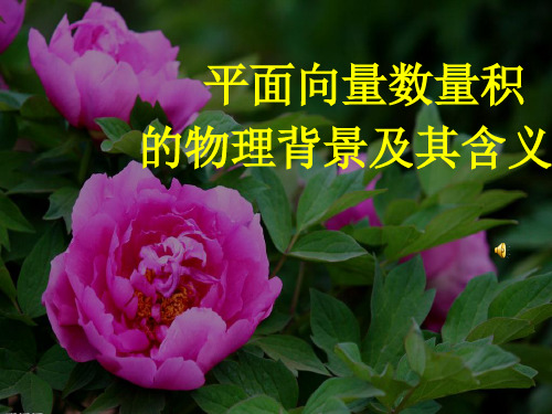 河南省2014年高中数学优质课：平面向量数量积 说课课件