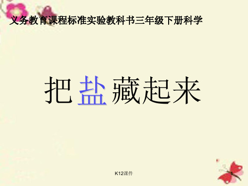 三年级科学下册 4.1《把盐藏起来》课件4 大象版