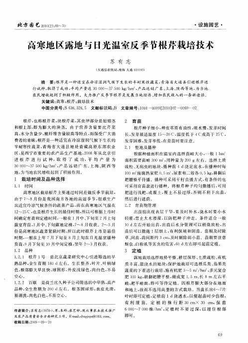 高寒地区露地与日光温室反季节根芹栽培技术