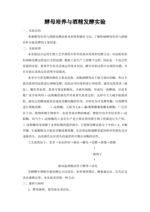 酵母培养实验
