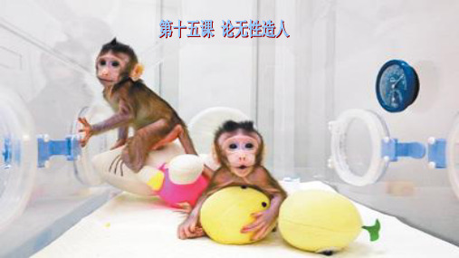 论无性造人