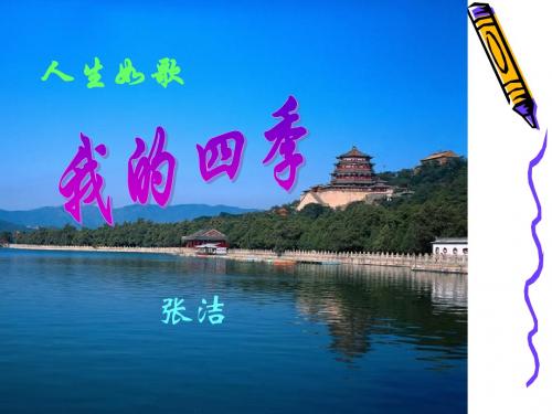 我的四季